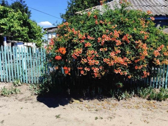 Продам дім біля Снігурівки