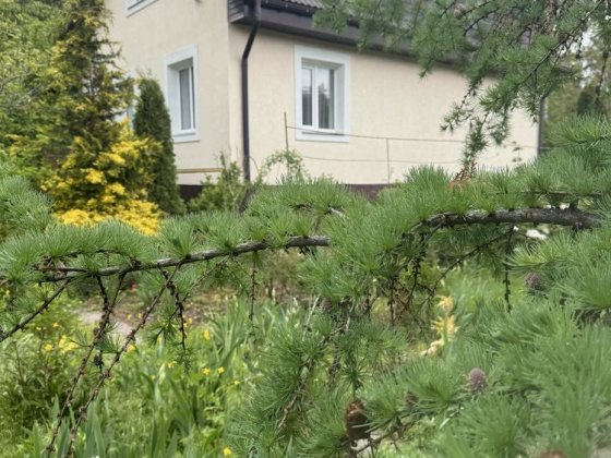 Будинок біля лісу. 10 хвидин від Ірпеня Ірпінь