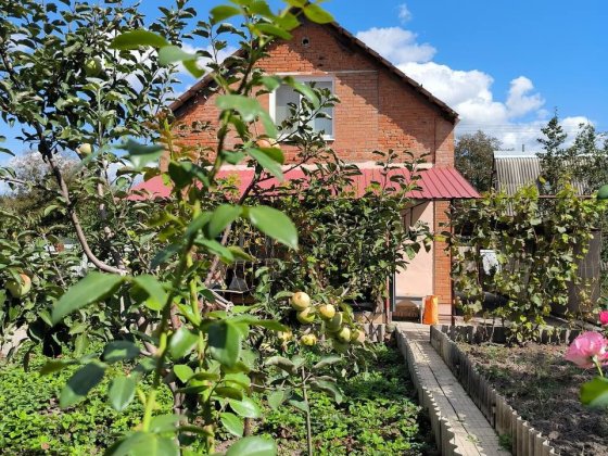 Продам затишну дачу Полтава