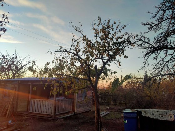 Продам дачу, два участка. Кривой Рог