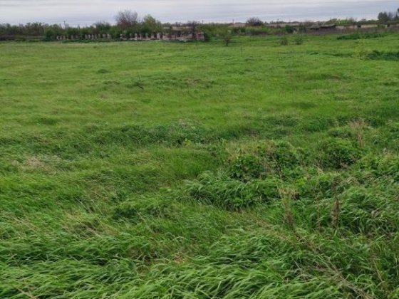 Обмен одним лотом. Кривой Рог