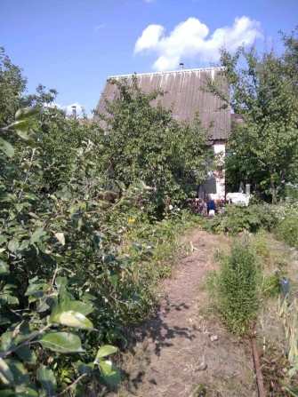 СРОЧНО ТОРГ дача в кооперативі "Олдиш-82" - фото 1