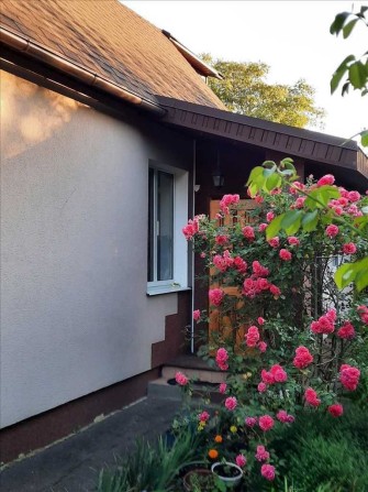 Окремий будинок в центральній частині міста! - фото 1