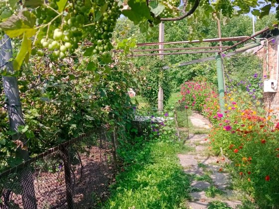 Кирпичная дача 3 ком в Петровке и 50 соток земли с кадастровым номером Полтава