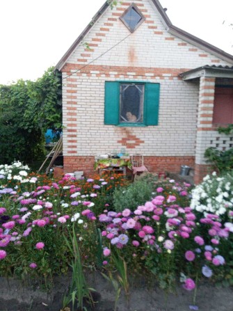 Дача на Олдиші, центр - фото 1