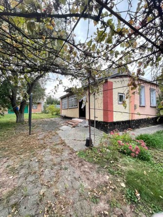 Продам будинок, окремостоячий з власним двором, ділянка 7 соток - фото 1
