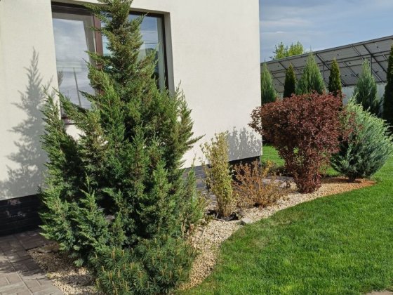 Будинок, в який закохаєшся з першого погляду Суми