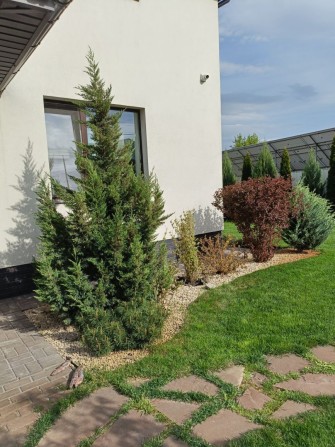 Будинок, в який закохаєшся з першого погляду - фото 1