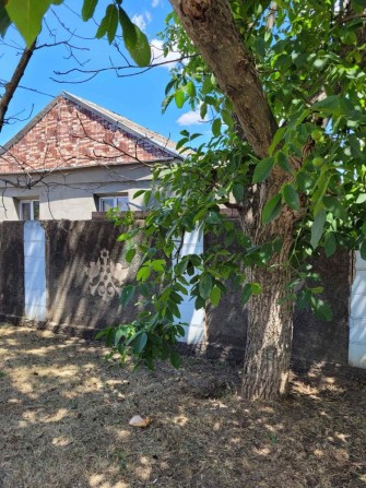 Дім Снігурівка птахофабрика - фото 1