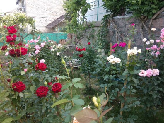 Продається двоповерховий котедж у м. Баштанка Баштанка