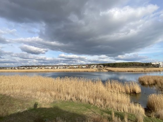 Продаю дом с участком 6с Зайчевское