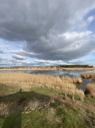 Продаю дом с участком 6с - фото 1