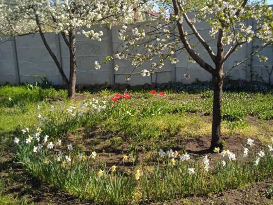 Дача за с. Сливино. СТ Урожай. Сливино