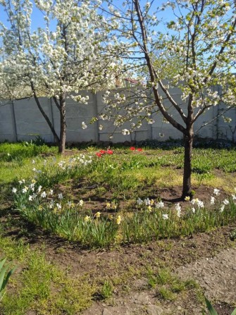 Дача за с. Сливино. СТ Урожай. - фото 1