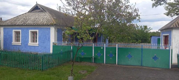 Будинок в с-щі Арбузинка - фото 1