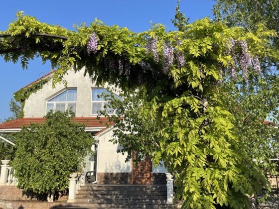 Продається сучасний будинок біля річки с Баловне Баловне