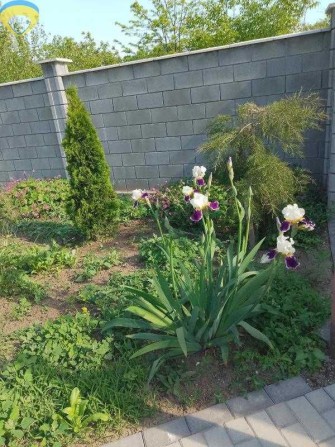 Дом в Фонтанке недалеко от трассы - фото 1