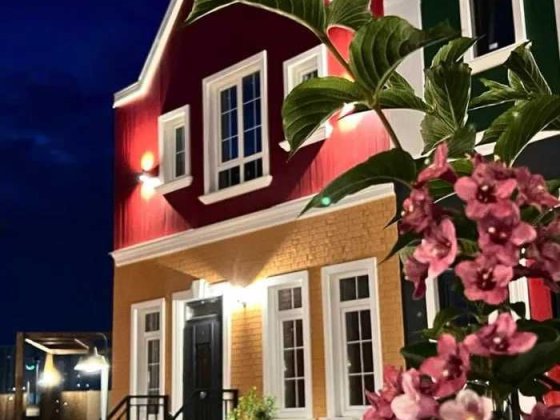 Готовий дім без зайвих витрат-меблі та техніка у подарунок Лески (Одесская обл.)