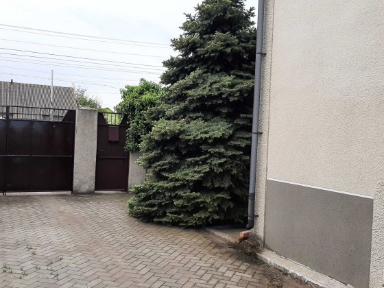 Капитальный Дом в Фонтанке Фонтанка