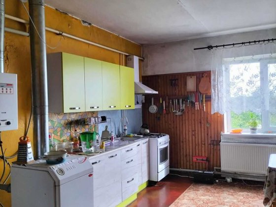 Двоповерховий будинок на два входи у Великодолинському