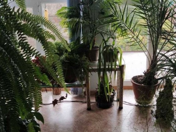 Дом в пригороде Одессы! Подвал-мастерская!АГВ!! Документы дом/земля! Светлое