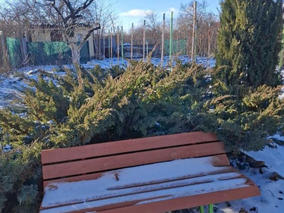 Продам Дом в Светлом Светлое