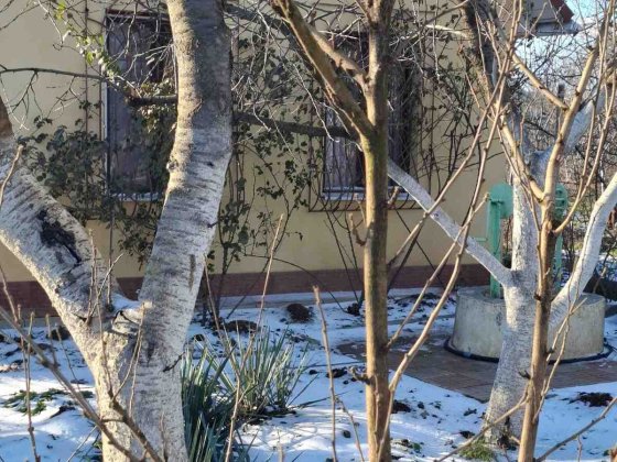 Дом с. Светлое Лиманский район Срочно!