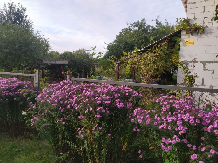 Будинок в межах міста - фото 1