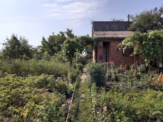 Дача з ділянкою землі Сумы