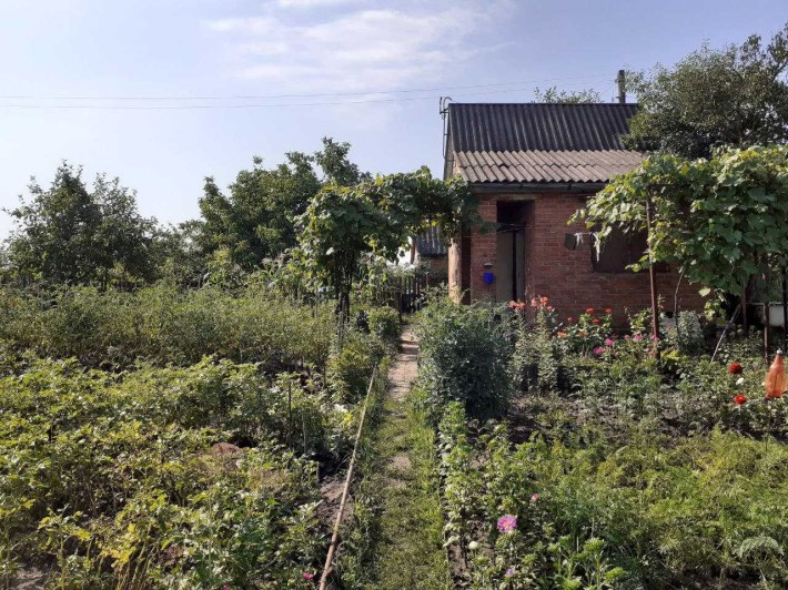 Дача з ділянкою землі - фото 1