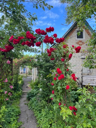 Продам дачу мрії в кооперативі Олдиш - фото 1