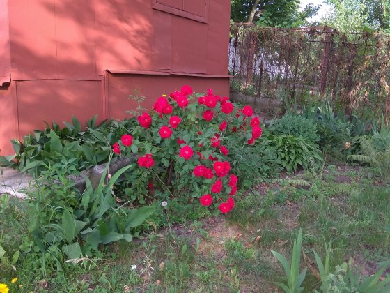 Продам дачу в районе Рыбхоза Сумы