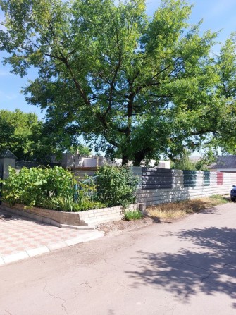 Новый одноэтажный дом - фото 1