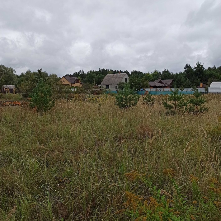 єВідновлення! 18 сот будови СК Прогрес Нова Українка у Піщаного озера - фото 1