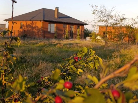 Современный дом в Фонтанке 1 Фонтанка