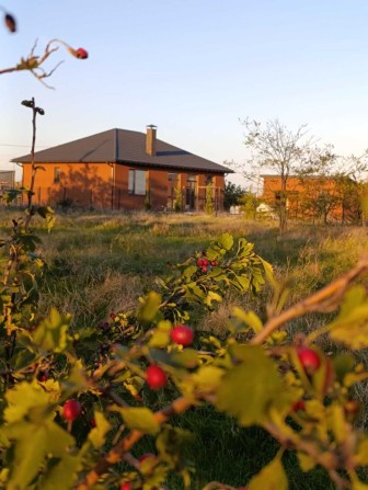 Современный дом в Фонтанке 1 - фото 1