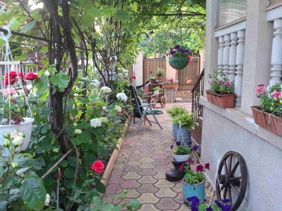 Продам Дом в Светлом Светлое