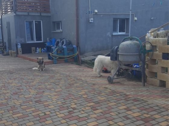 Продается дом с шикарным видом на Хаджибеевский лиман