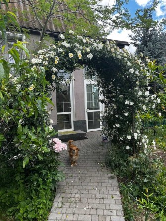 Продам дом в Сухом Лимане - фото 1