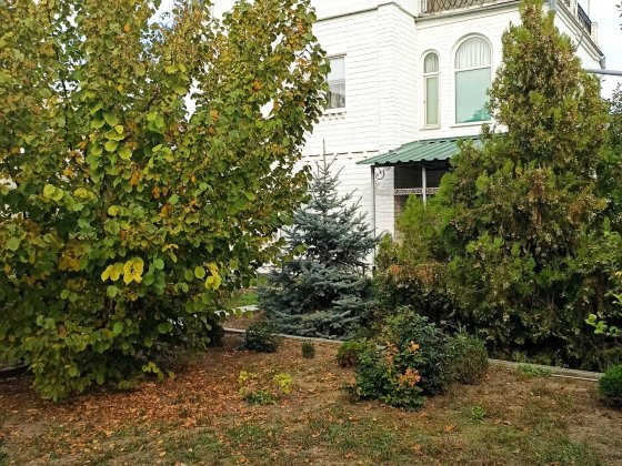 (13) Продам капітальний будинок в Сухому Лимані. Сухой Лиман