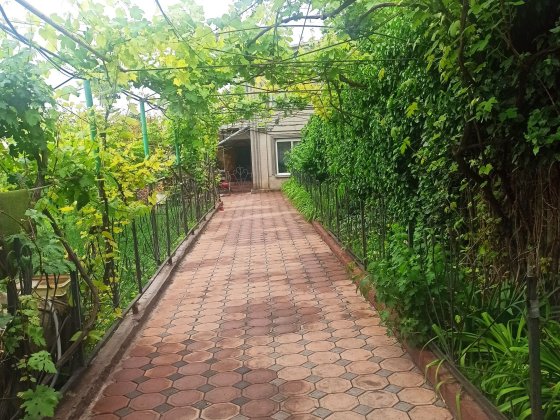 Продам від хазяїна 4 будинки  район  лиману за вказану суму.