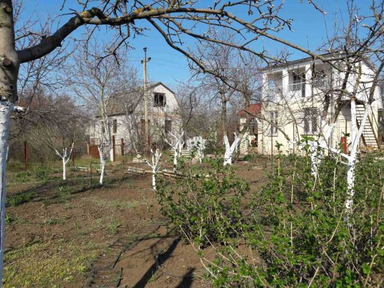 Дача в Новой Дофиновке Нова Дофінівка