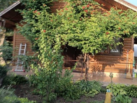 Продам качественный дом дачу ряном с лиманом  . Нова Дофінівка