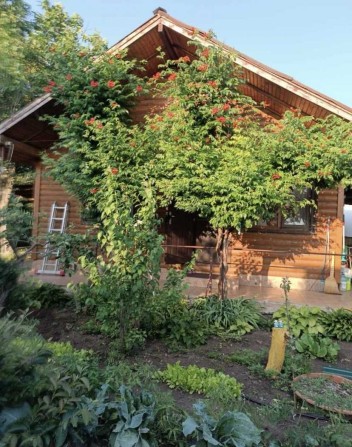 Продам качественный дом дачу ряном с лиманом  . - фото 1