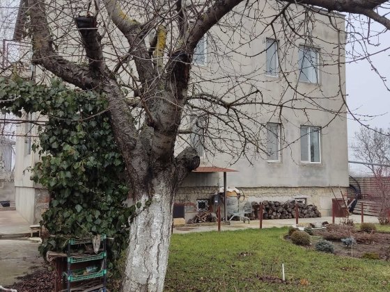 Продам дом в Новой Дофиновке, курортный район на берегу моря. Нова Дофінівка