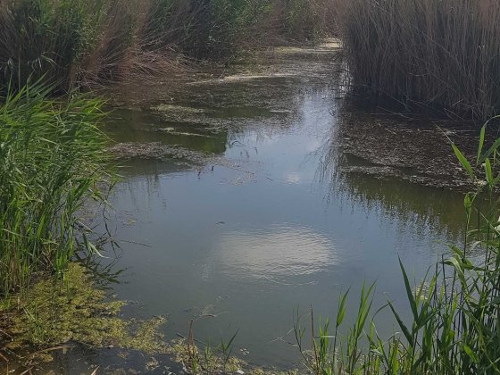 Участок в центре города с выходом в реку Біляївка