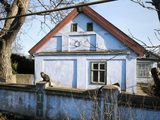 Продається два будинки в центрі с.Великий Дальник