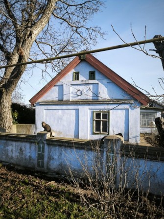 Продається два будинки в центрі с.Великий Дальник - фото 1