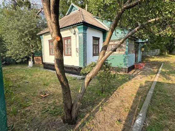 Будинок біля центру з ділянкою 8 соток Гадяч