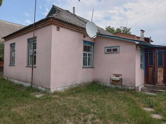 Будинок в Нових Санжарах Новые Санжары